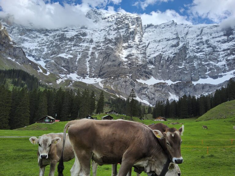 Swiss Hidden Gems